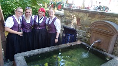 2016-07 Schlossgartenkonzert Dettingen (32)